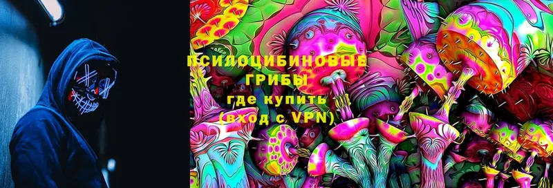 Псилоцибиновые грибы Magic Shrooms  Усть-Лабинск 